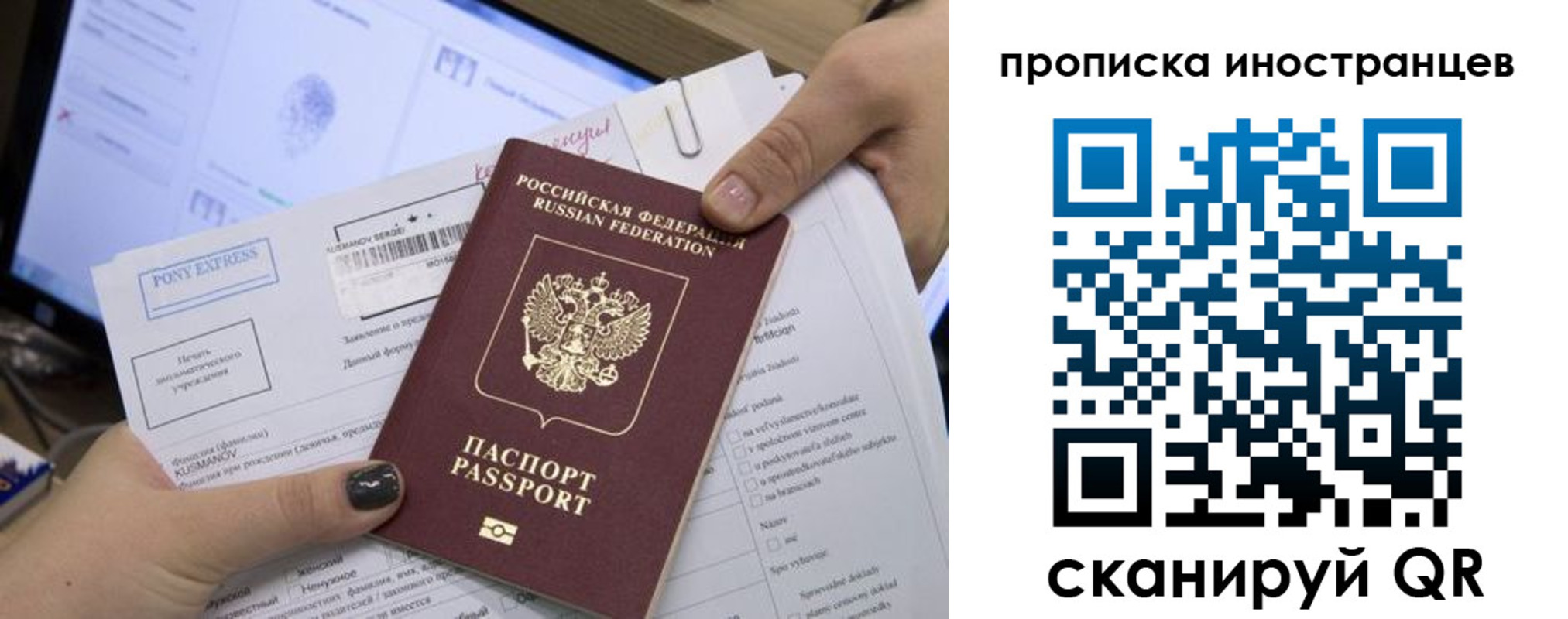 временная регистрация надежно в Курской области