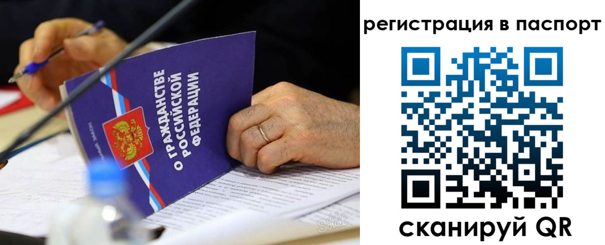 прописка законно в Курской области